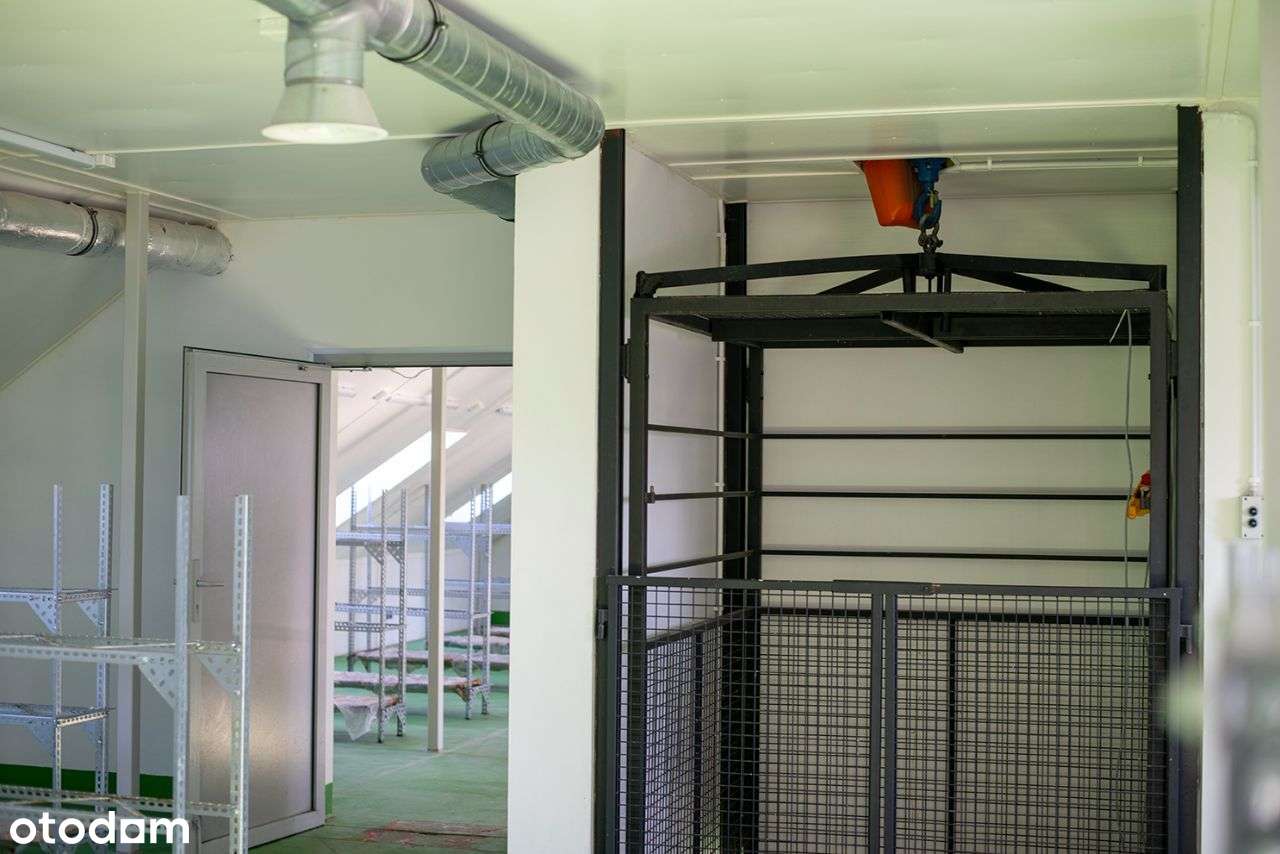 Dom z dużą działką oraz halą produkcyjną-16