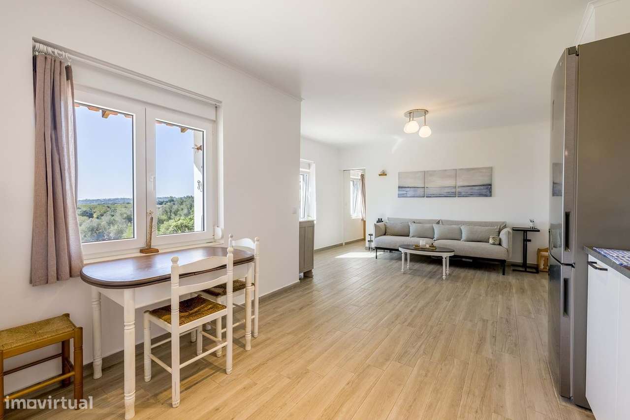 PROPRIEDADE ÚNICA NO SARGAÇAL, COM 20.9 HECTARES E 2 RUINAS REGISTADAS - Grande imagem: 5/43