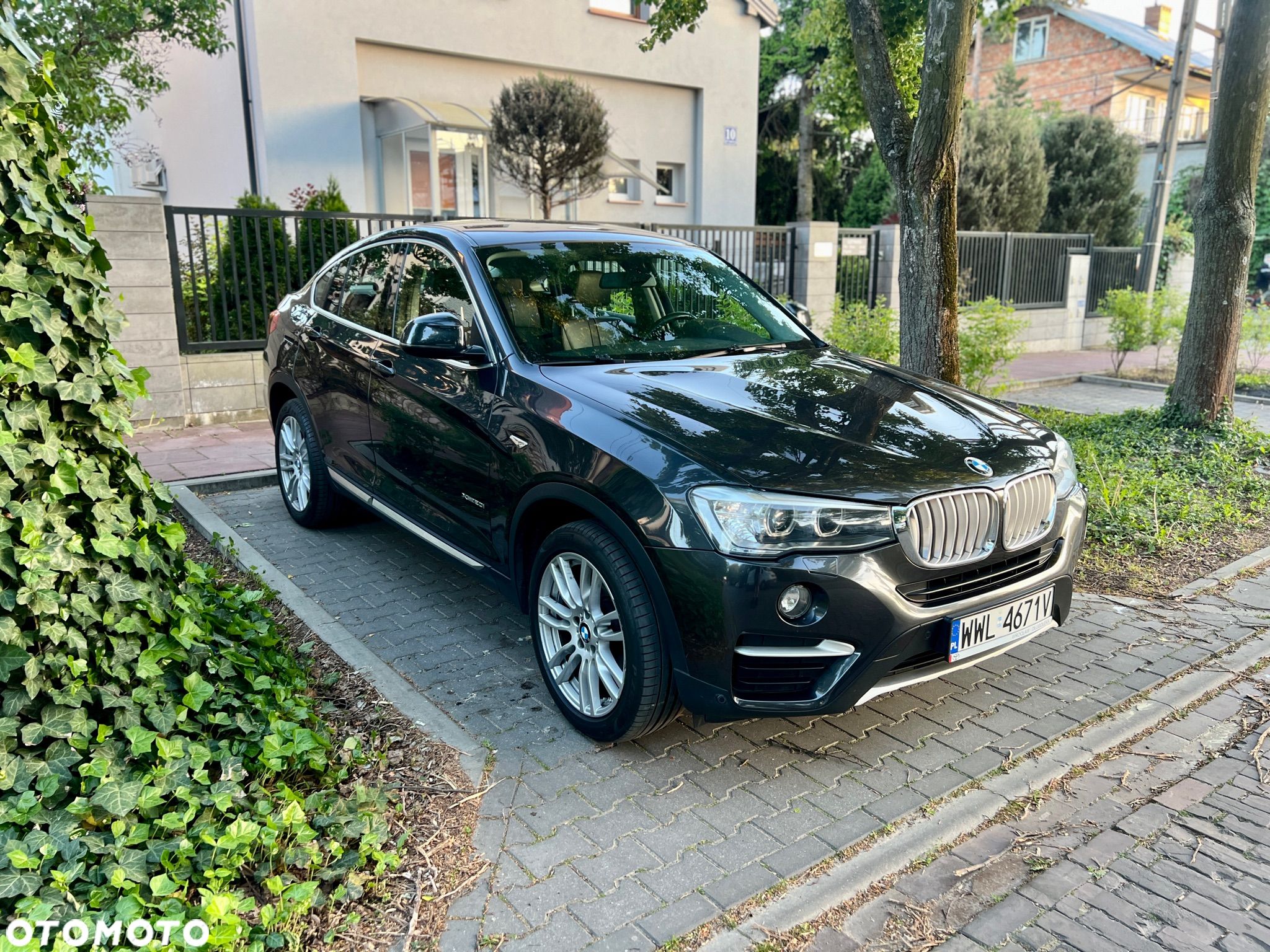 BMW X4 xDrive20i xLine - 1