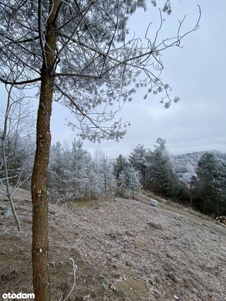 Działka z pięknym widokiem na jezioro Długie w centrum Kaszub. - Pełny obrazek: 4/9