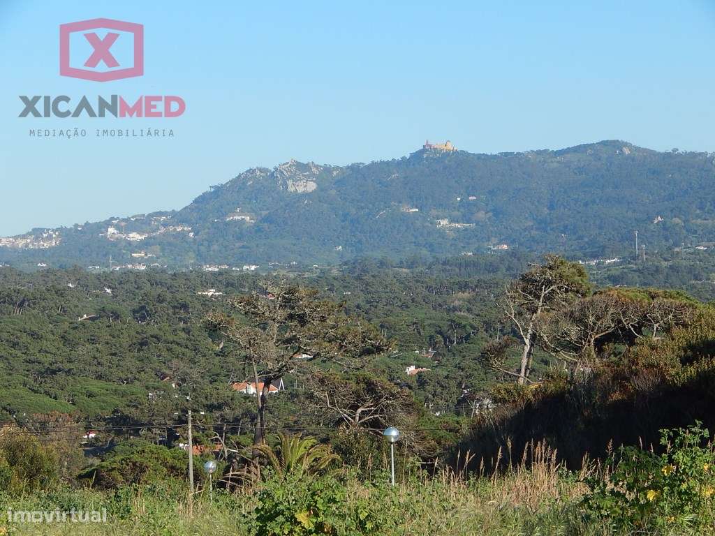 Rodizio, Colares - Grande imagem: 4/15