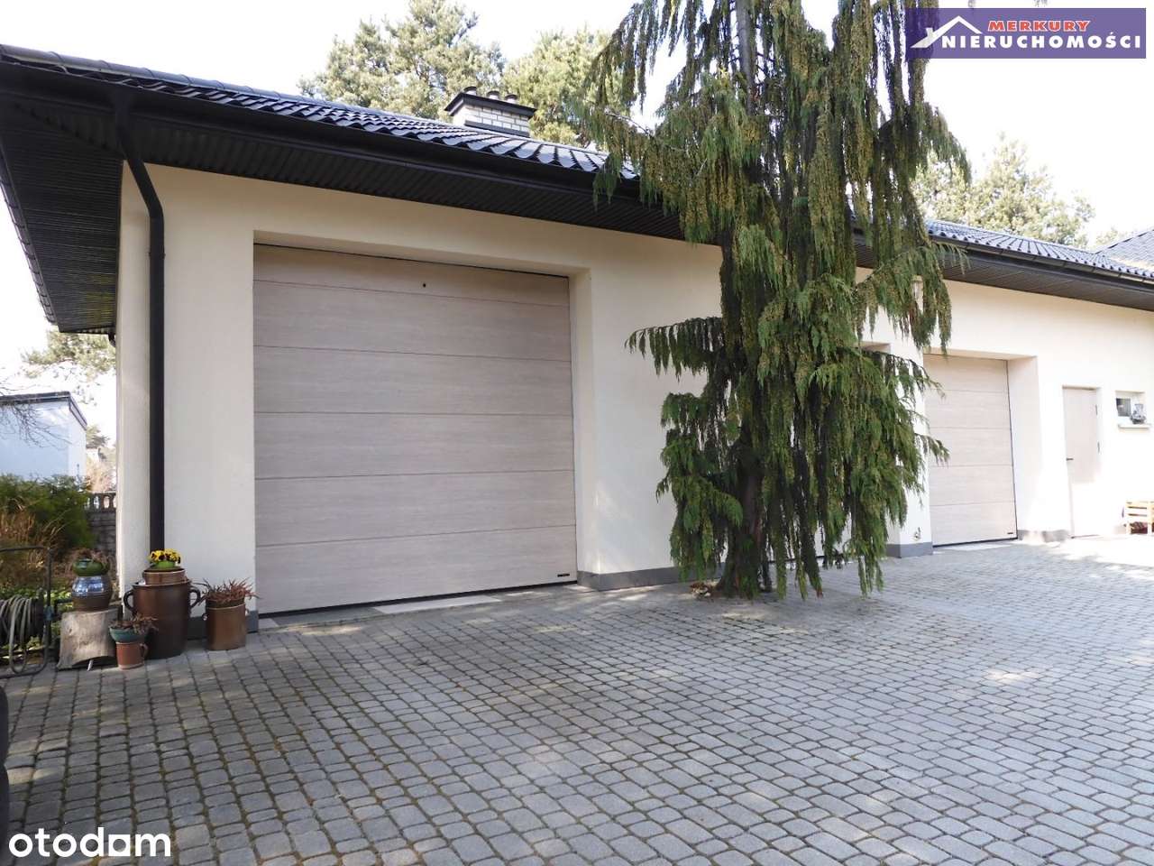 Na obrzeżach miasta. - Pełny obrazek: 4/11