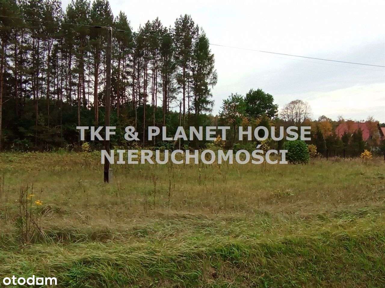 Działka 1431m2 w msc. Teofilów nieopodal Pilicy - Pełny obrazek: 4/7