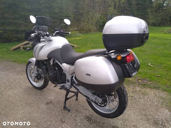 Triumph Tiger - 14