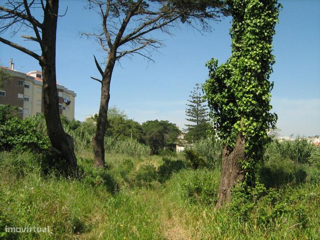 Terreno com 19.440m² para construção em Casais de Mem Martins-1