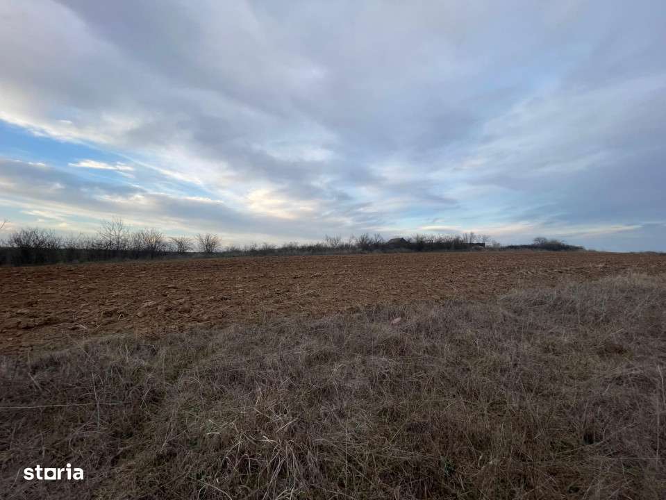 Teren extravilan 2000mp parcelat Malu Mare - Imagine principală: 2/3