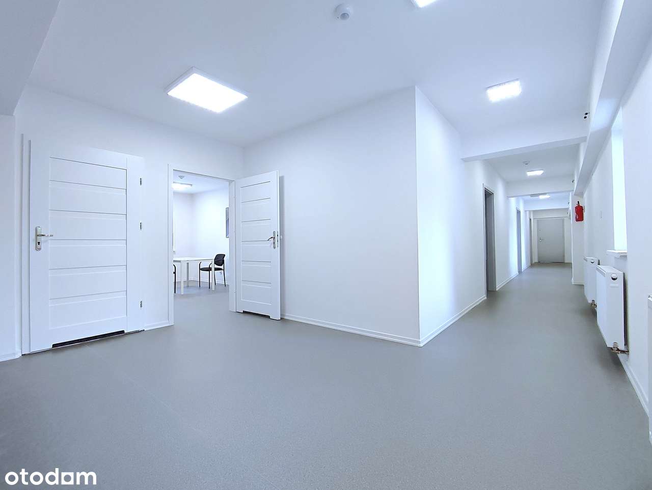 Lokal biurowy 240m2 - Grzegórzki - Pełny obrazek: 5/16