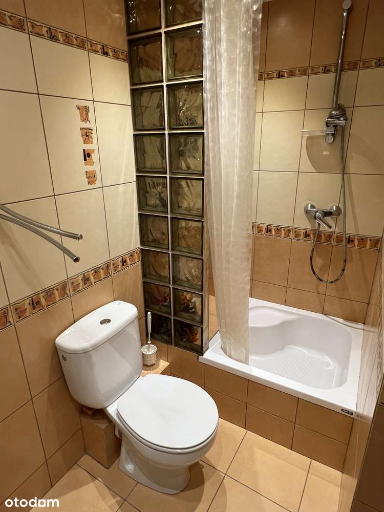 Kawalerka z pięknym widokiem w zielonej części Łazarza ul. Lodowa-16