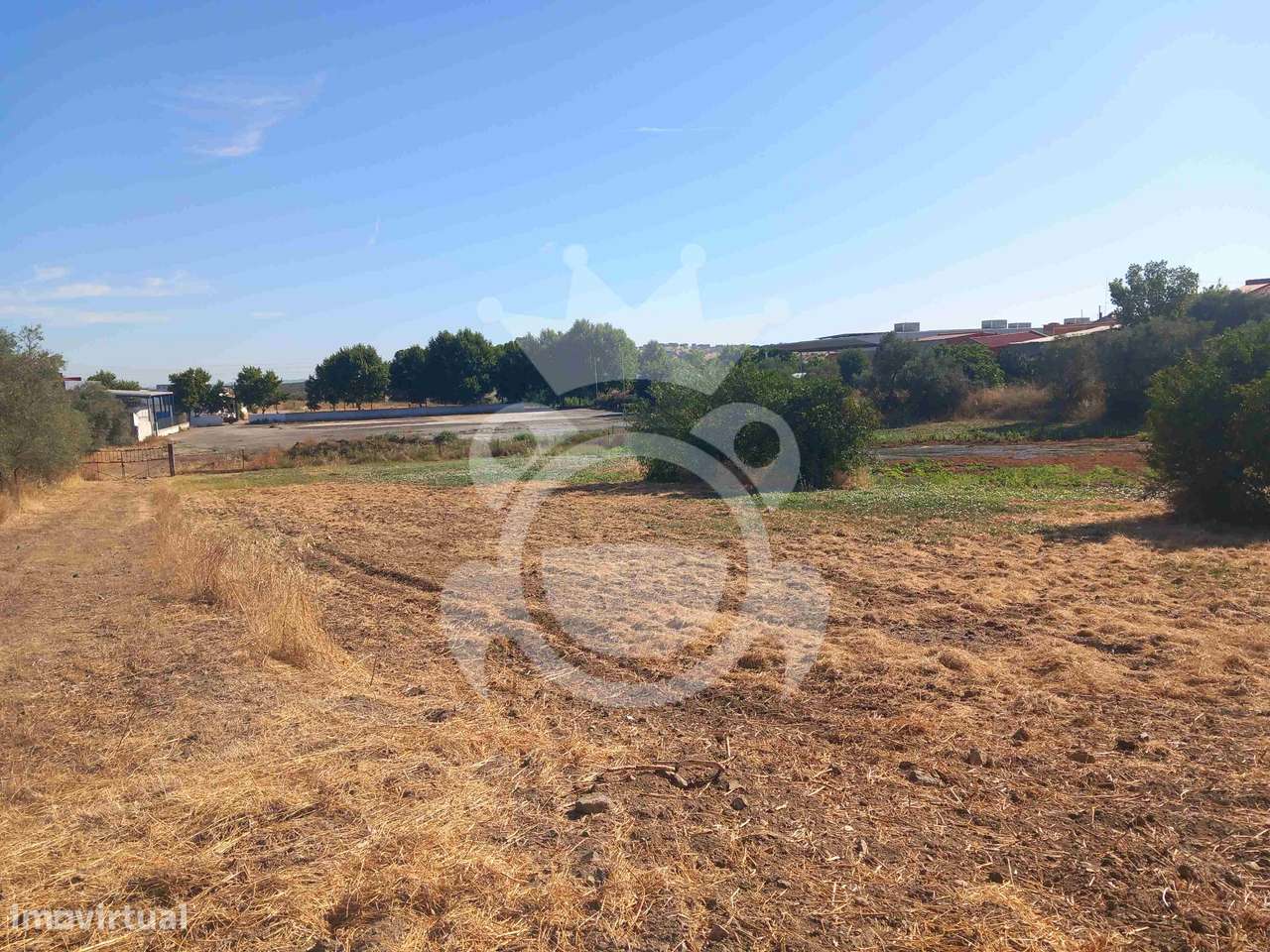 Terreno no perímetro urbano de Serpa - 8250m2-3