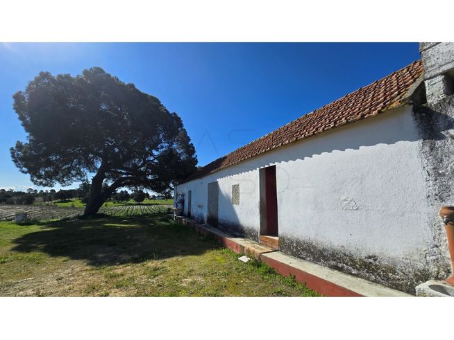 Herdade de 28.000m2 com vinha moscatel e habitações-6