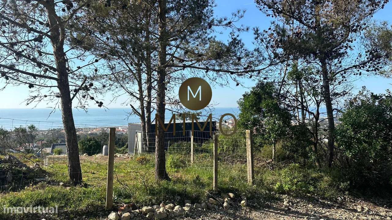 Terreno Para Venda na Murtinheira-33