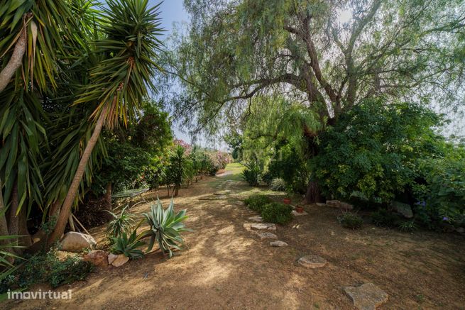 Moradia Isolada T3 com Jardim e Garagem em Bernardinheiro, Tavira-34