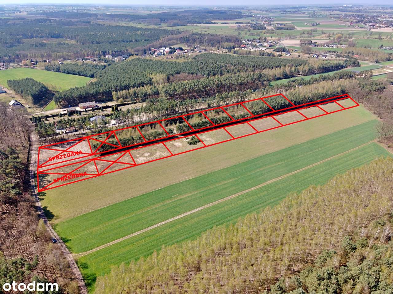 Działki budowlane pod lasem – Młynisko gm. Koźminek - Pełny obrazek: 4/17