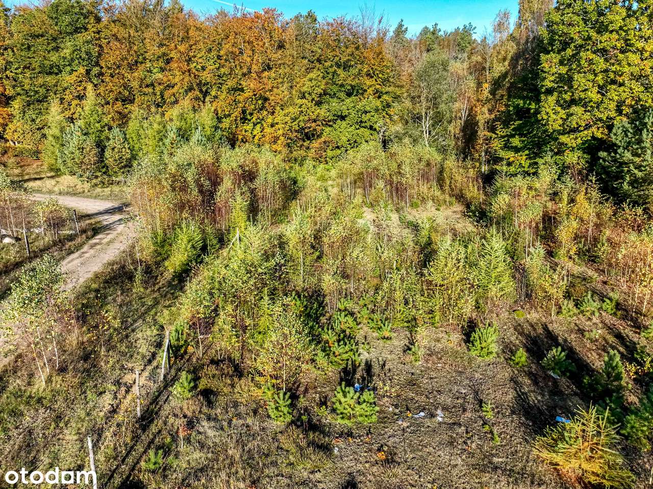 Lokalizacja to najważniejszy parametr - wiosną już można budować dom-18