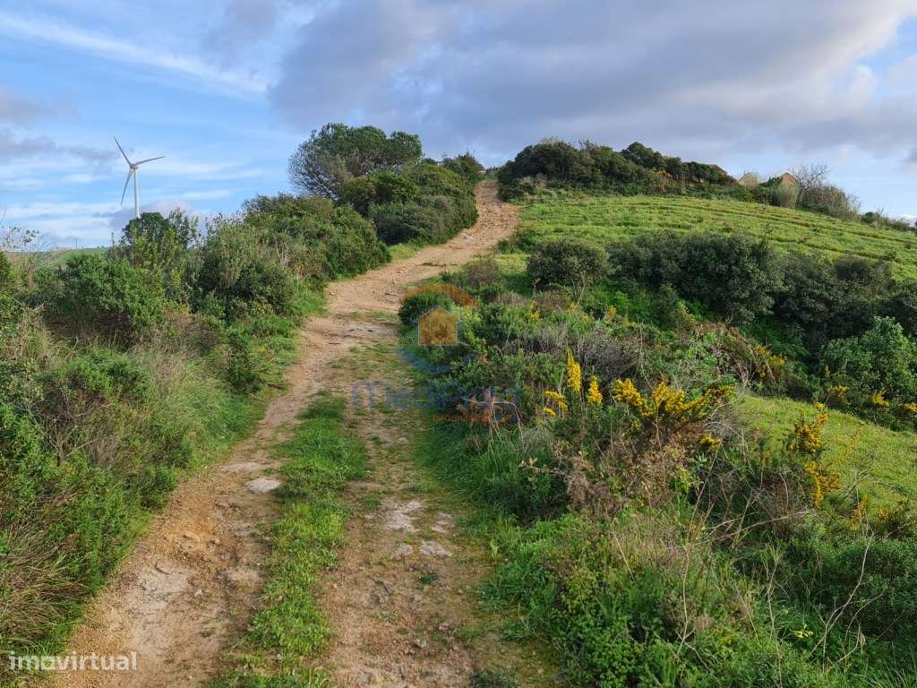 Terreno agrícola 31.000m2 | Matacães, Torres Vedras - Grande imagem: 2/4