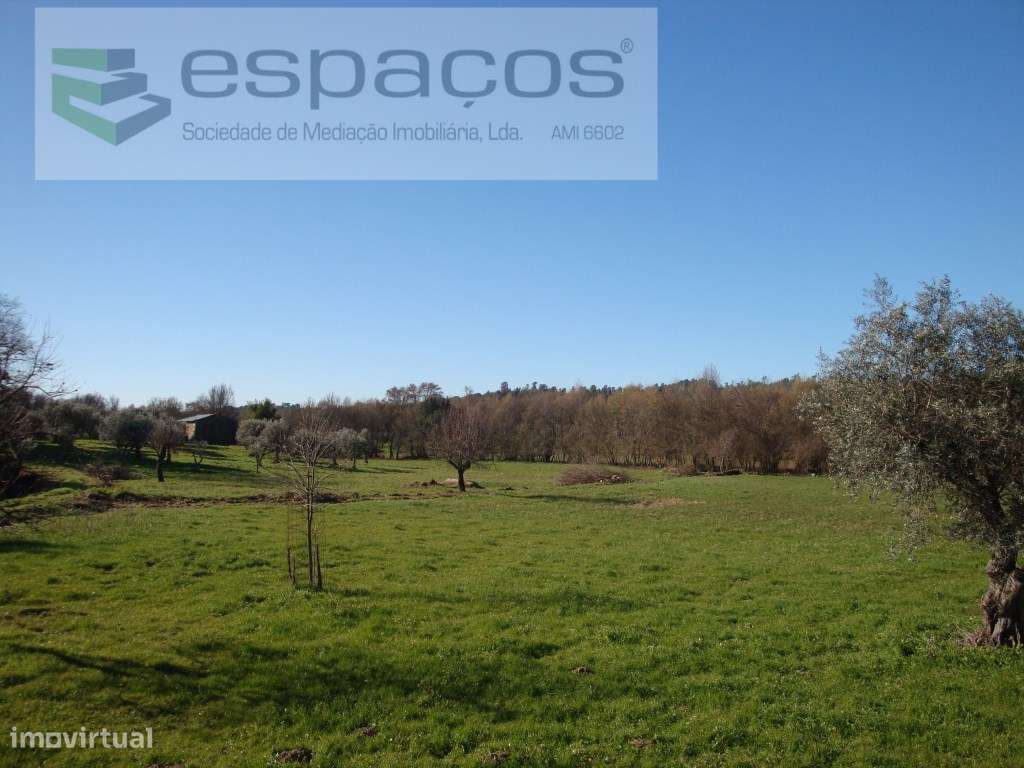 Quinta com construção rural a confinar com rio - Grande imagem: 4/41