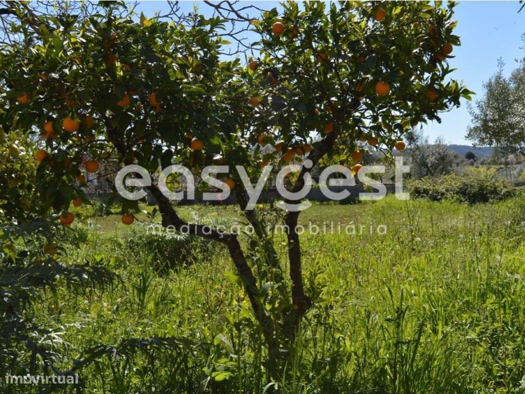 Moradia para recuperar a 10km das praias fluviais do Rio Zêzere - Grande imagem: 4/13