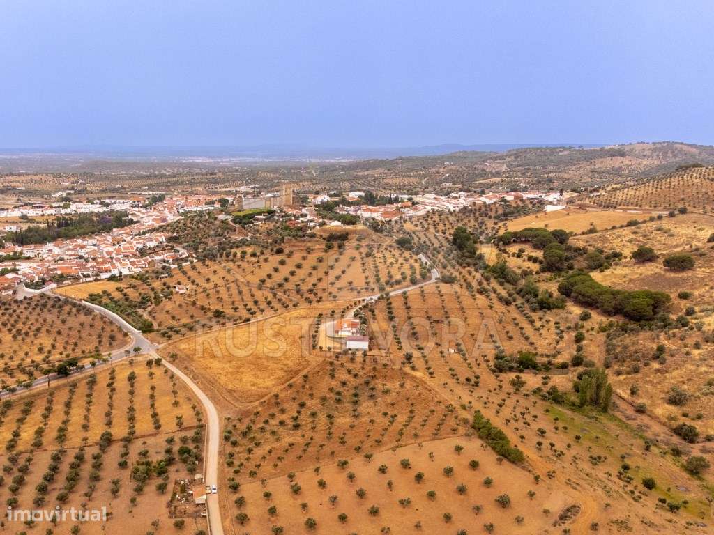 Quinta em Portel - 4,3 Ha de Tradição e Conforto-40