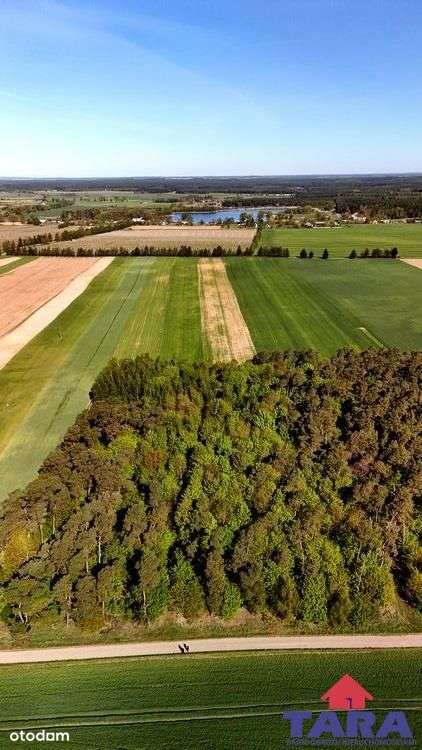 Grunt w Załachowie - Pełny obrazek: 5/13