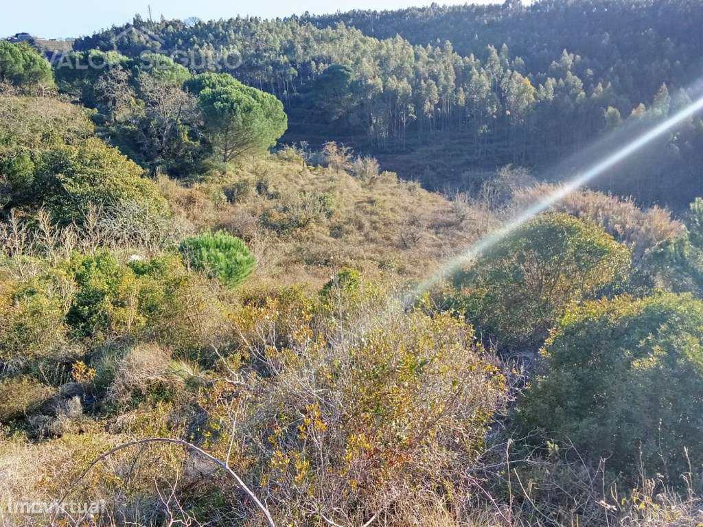 Terreno rústico em Vale Serrão, Pereiro de Palhacana, Alenquer-25