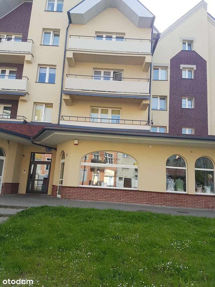 na sprzedaż lokal 40,32 m2 w Centrum Elbląga - Pełny obrazek: 5/6