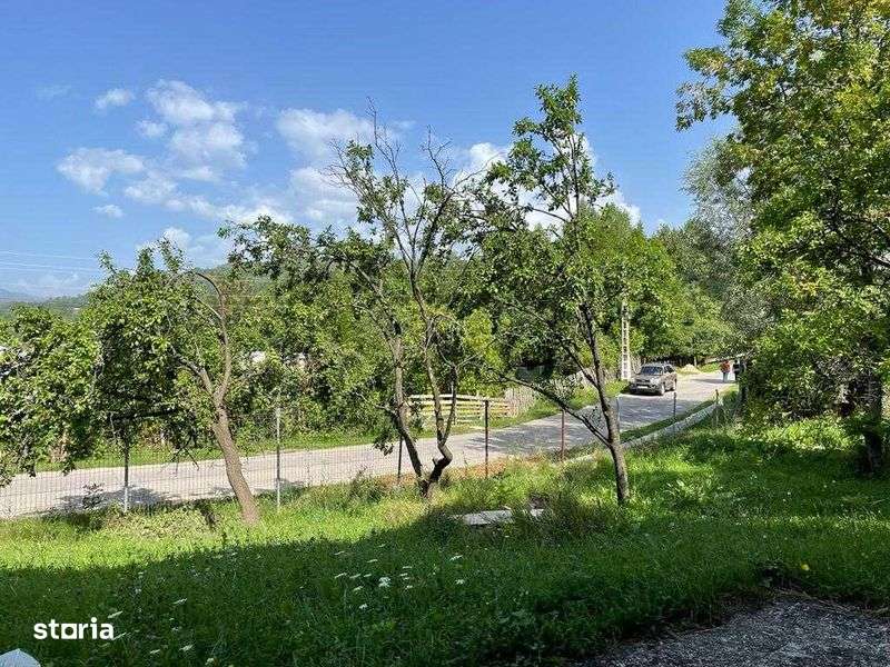 CASA + TEREN Intravilan 23 300 MP / DEALU FRUMOS / Zona RUNCU. - Imagine principală: 5/8