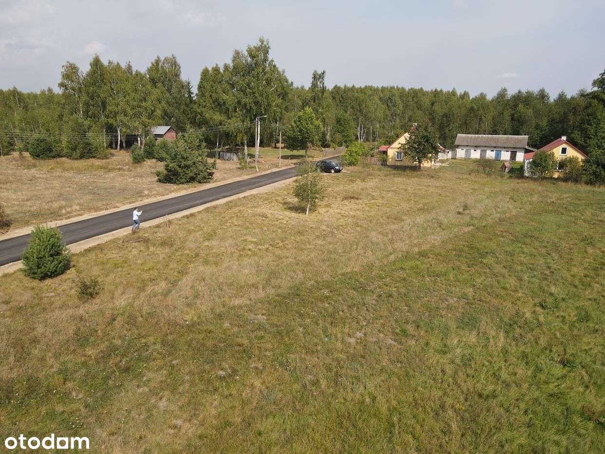 Rewelacyjna działka w Puszczy Białowieskiej Zalew - Pełny obrazek: 5/20