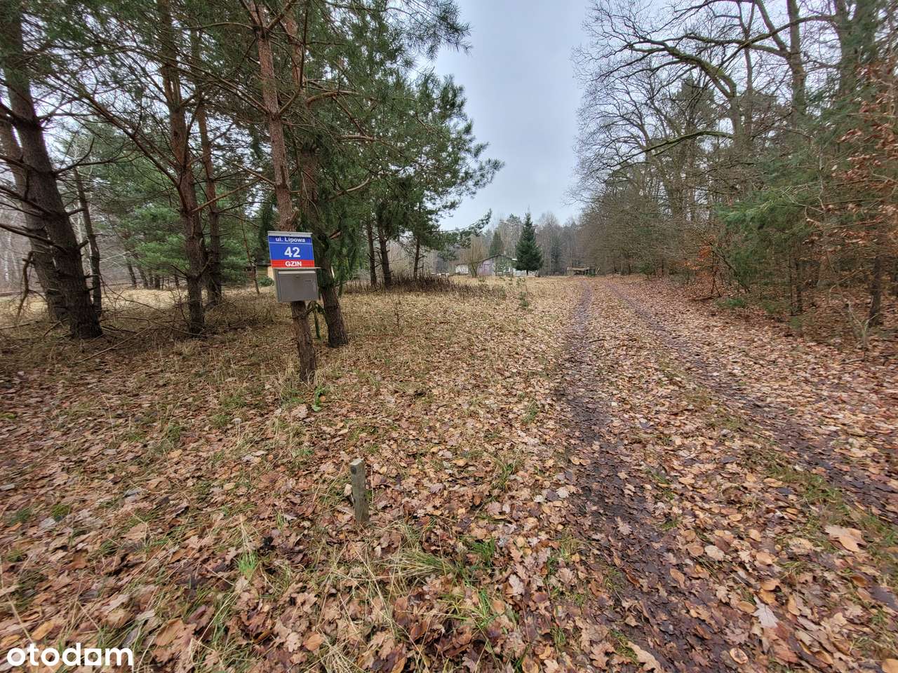 Działka 1,4 ha, GZIN, gmina Dąbrowa Chełmińska-7