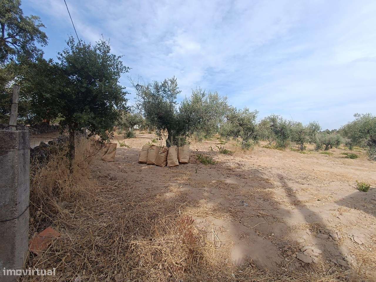 Fabuloso Terreno, Lousa, Castelo Branco - Grande imagem: 4/29