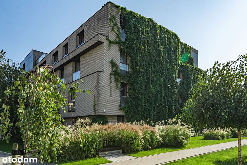 stan deweloperski / salon 50 m2 / 4 x garaż-10