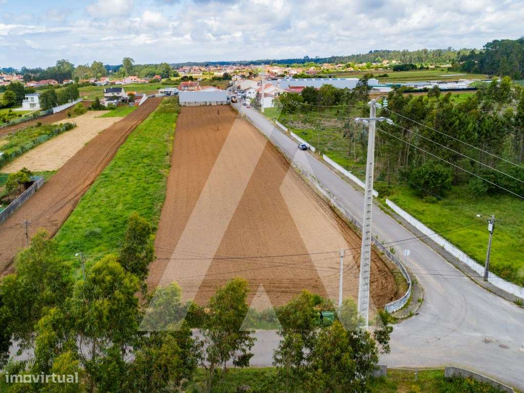 Terreno plano para construção - Junto acessos A29 e Santa Maria da ... - Grande imagem: 2/27