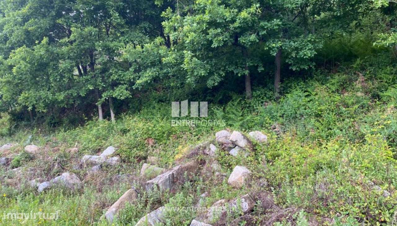 Venda Terreno com área de 8000 m2, São Lourenço do Douro, Marco de - Grande imagem: 3/29