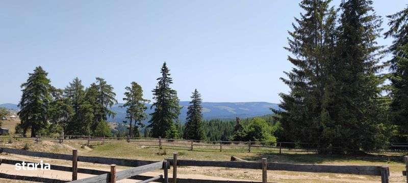 Teren Maguri-Racatau - Imagine principală: 4/6