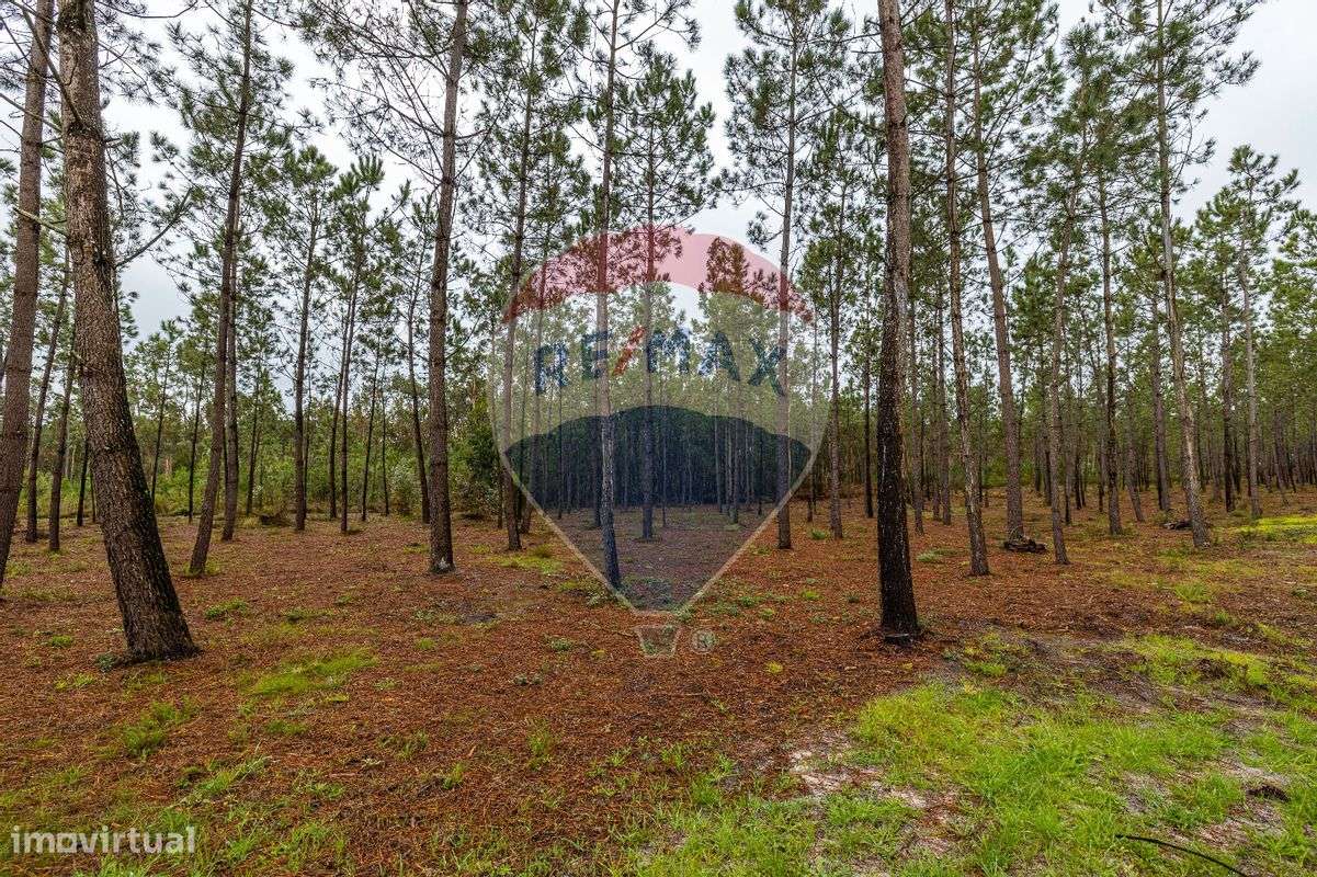 Terreno  para venda - Grande imagem: 5/12