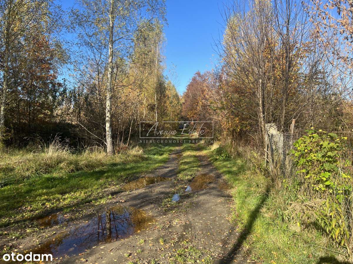 Wyjątkowa Oferta - Pełny obrazek: 5/16