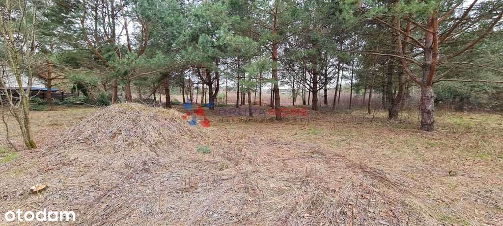 Łoś działka 1118 m2 budowlana, media, las-2