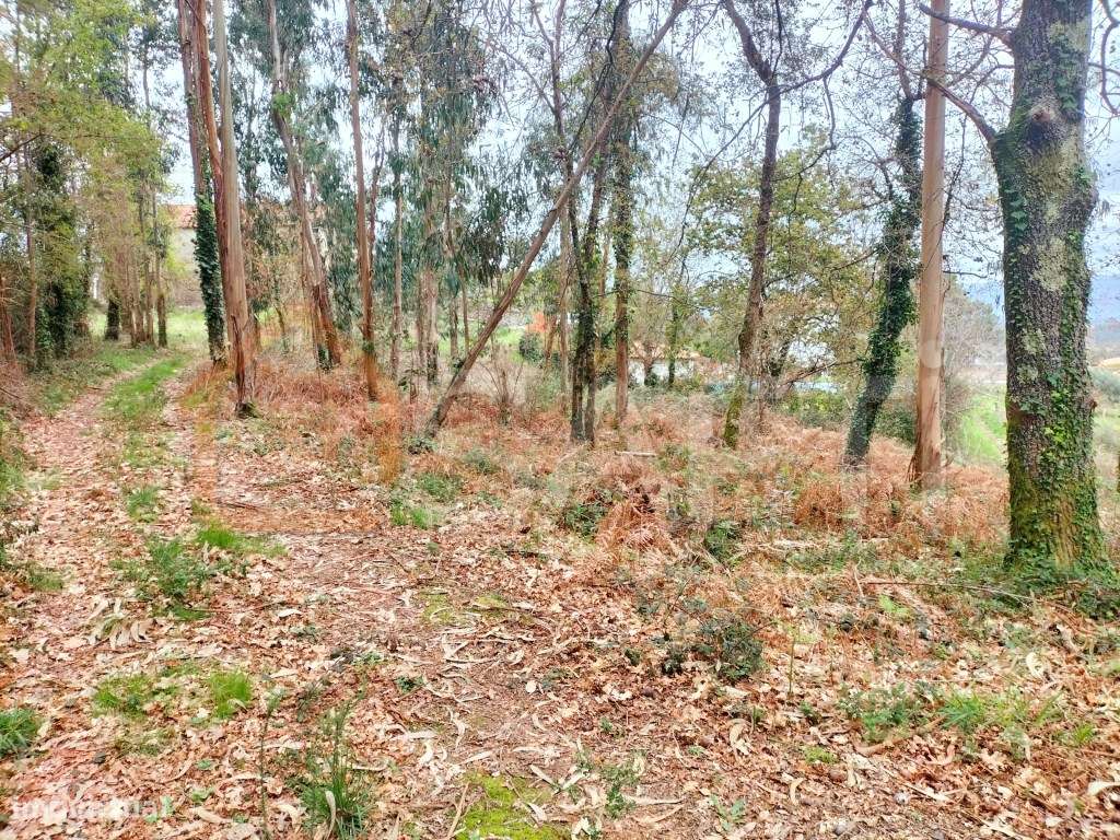 Baixa de preço - Grande imagem: 3/4