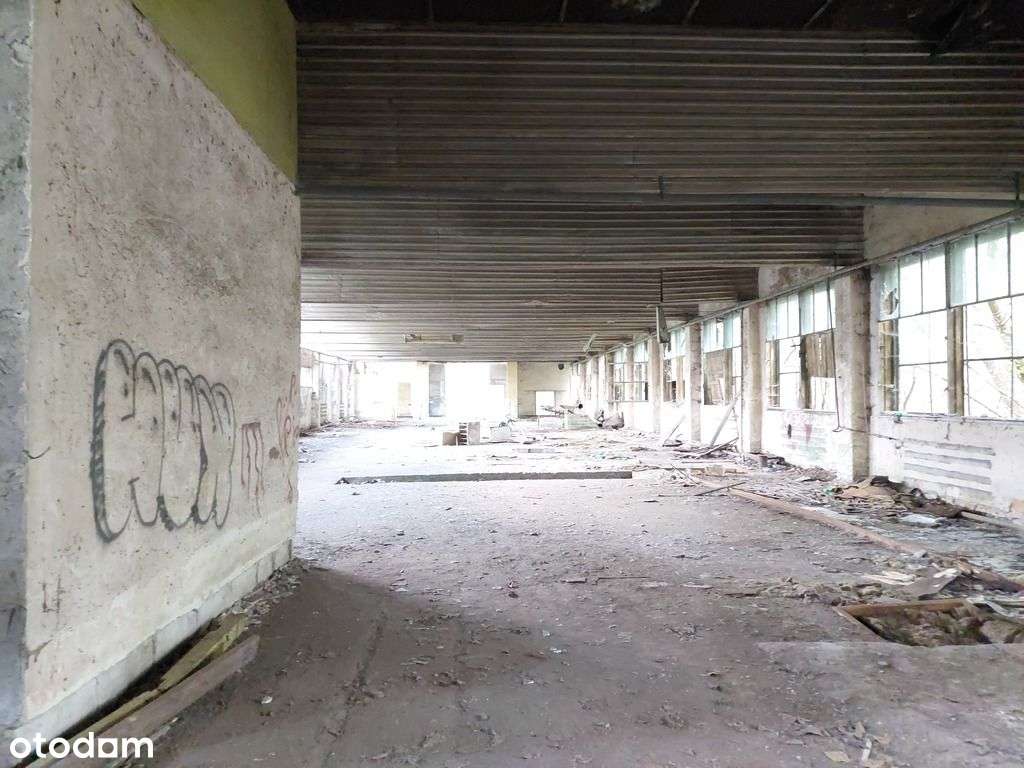 Działka z halą magazynową-4
