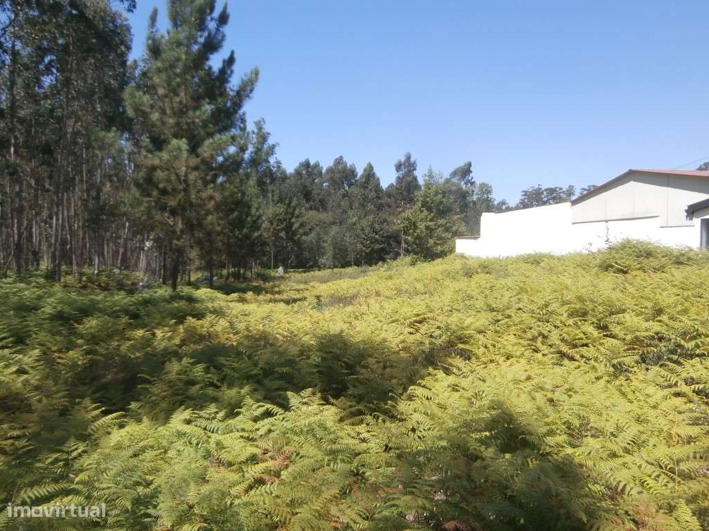 Terreno(s) para construção em Recardães (venda judicial - verba n.º...-5