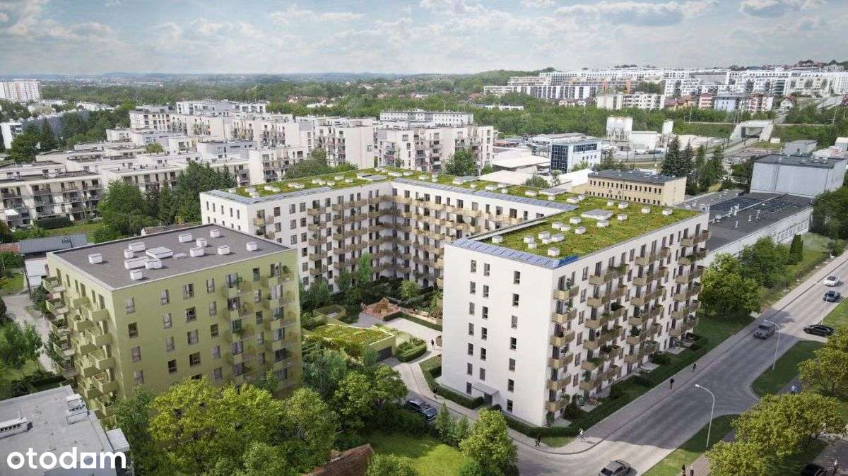 Wola Księcia Janusza-2