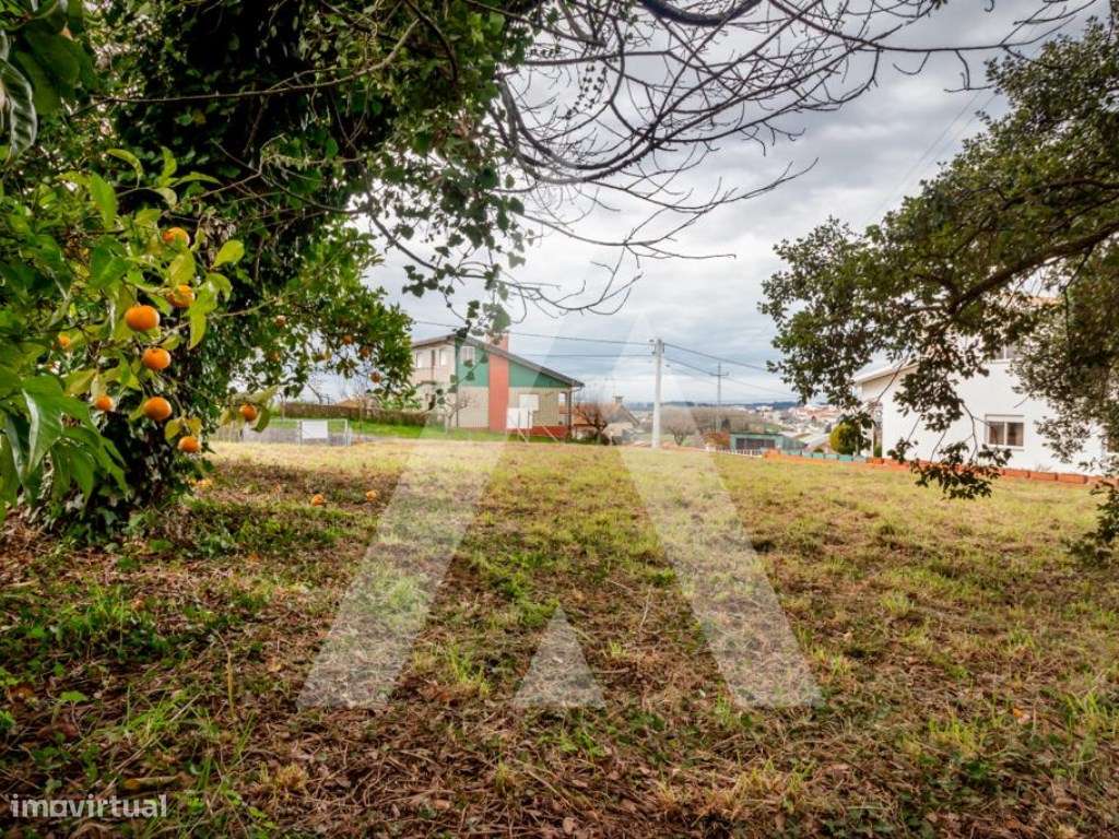 Lote de Terreno para construção de moradia na Sra. Do Monte - Salreu-8