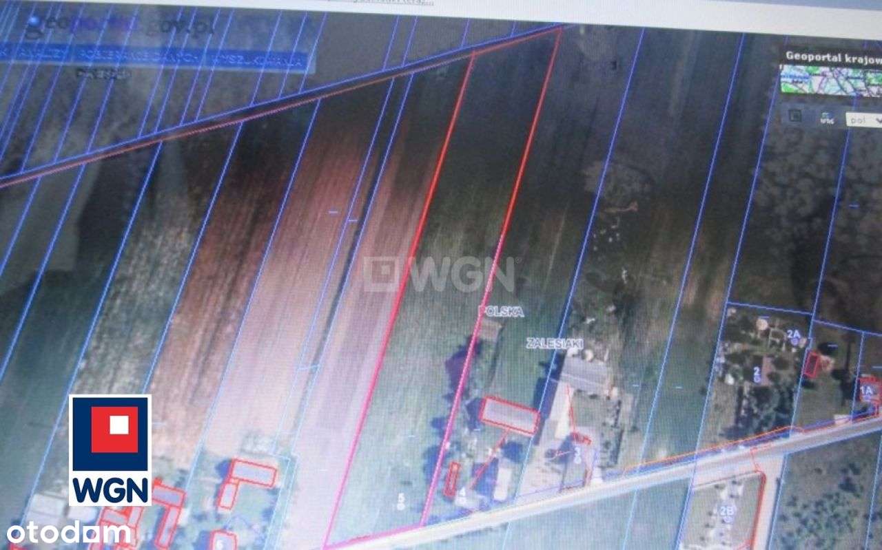 Działka, 12 000 m², Zalesiaki-Pieńki - Pełny obrazek: 4/9