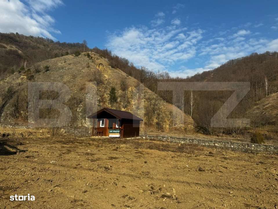 Teren intravilan cu cabanuta, 3797 mp, Valea Manastirii Ramet - Imagine principală: 1/4