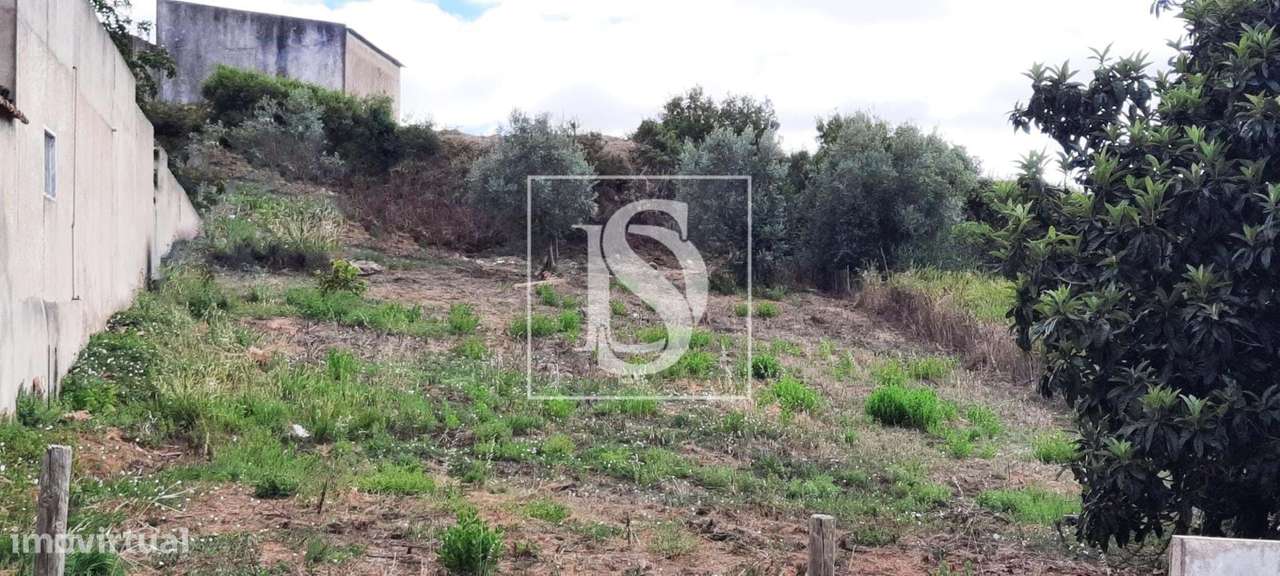 Terreno com rúinas-3