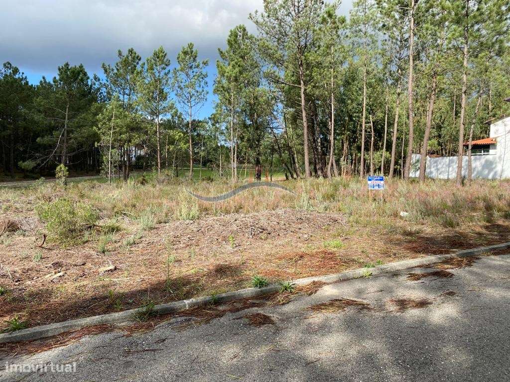 Terreno - Amor, Leiria - Grande imagem: 4/13