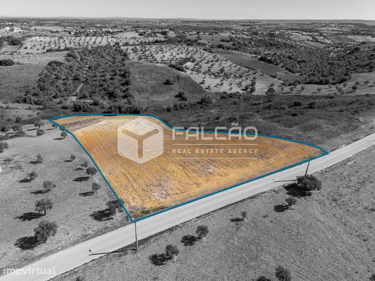 Terreno Rústico  Venda em Achete, Azoia de Baixo e Póvoa de Santarém,S-5