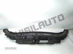 Frente Chapa/fibra 82001_40478 Renault Scenic Ii [2003_2009] 1. - 1