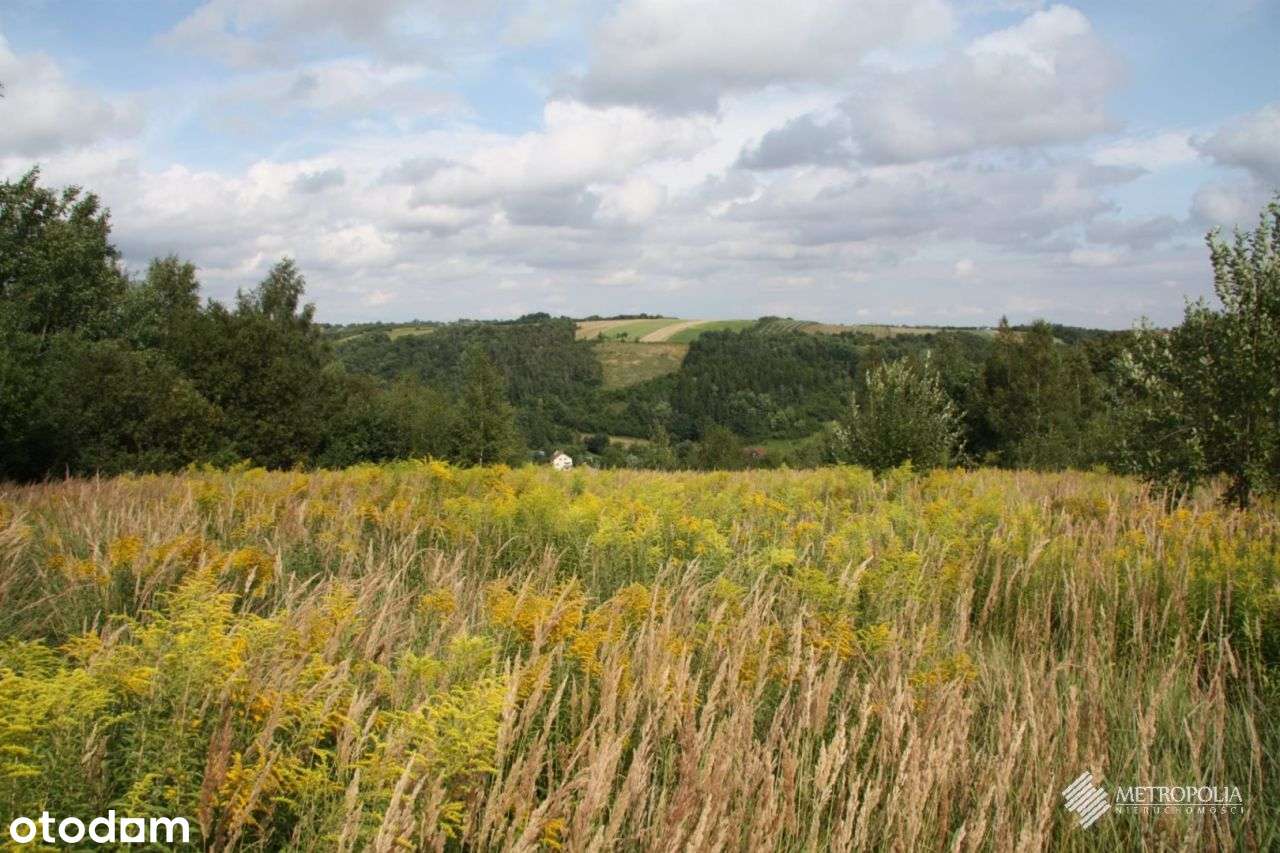 Biały Kościół | działki rolne - 1,9 ha-1