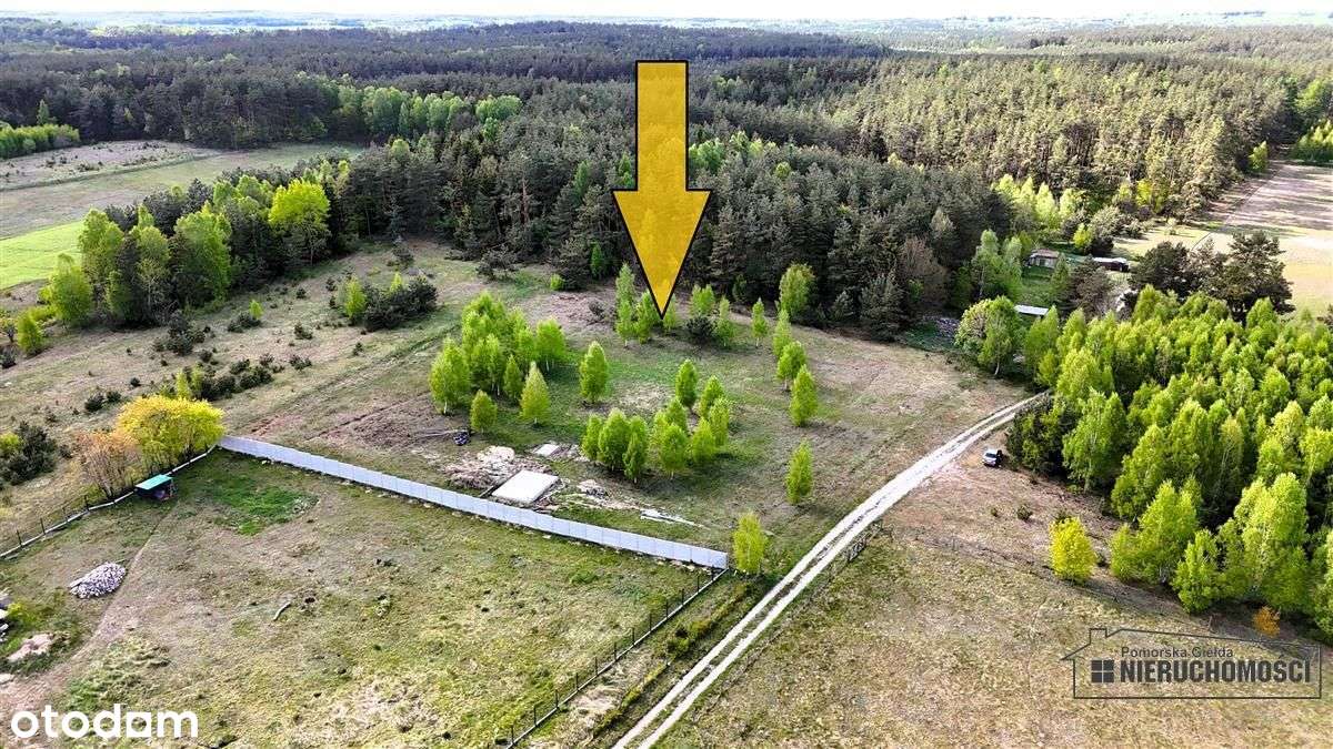 Duża działka w otoczeniu lasu. Drężno. - Pełny obrazek: 4/17