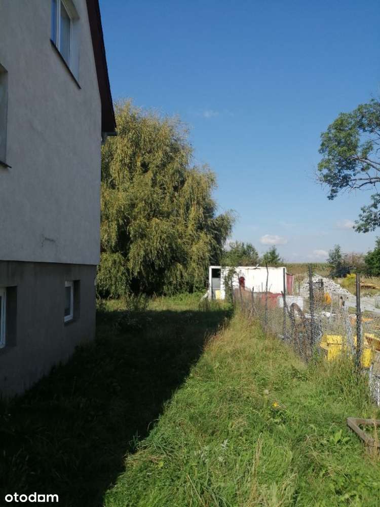 Domaszkowice | Dom 9 km do Nysy | Bezpośrednio - Pełny obrazek: 3/14